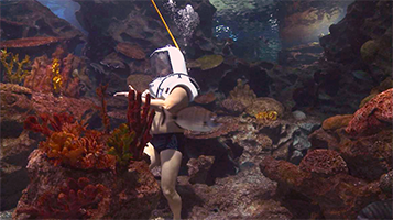Dive & Walk Aktivite Bölgesi Dive & Walk Aktivite Bölgesi