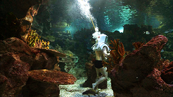 Dive & Walk Aktivite Bölgesi Dive & Walk Aktivite Bölgesi
